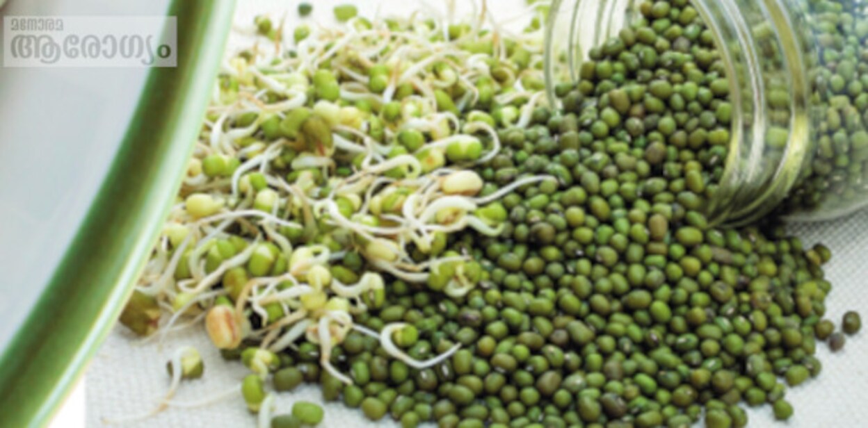 sprouts3213