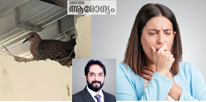 വില്ലനായത് പ്രാവിന്റെ കാഷ്ഠം; വിട്ടുമാറാത്ത ശ്വാസംമുട്ടിനു പിന്നിൽ ശ്വാസകോശ ചുരുക്കം
