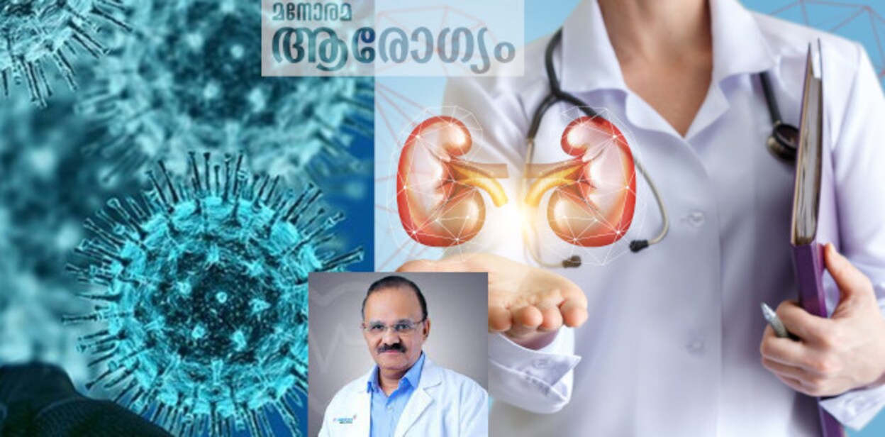 kidney334