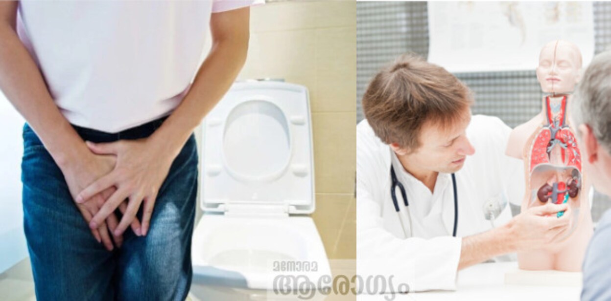 urine455656