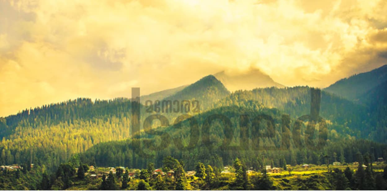 kasol01