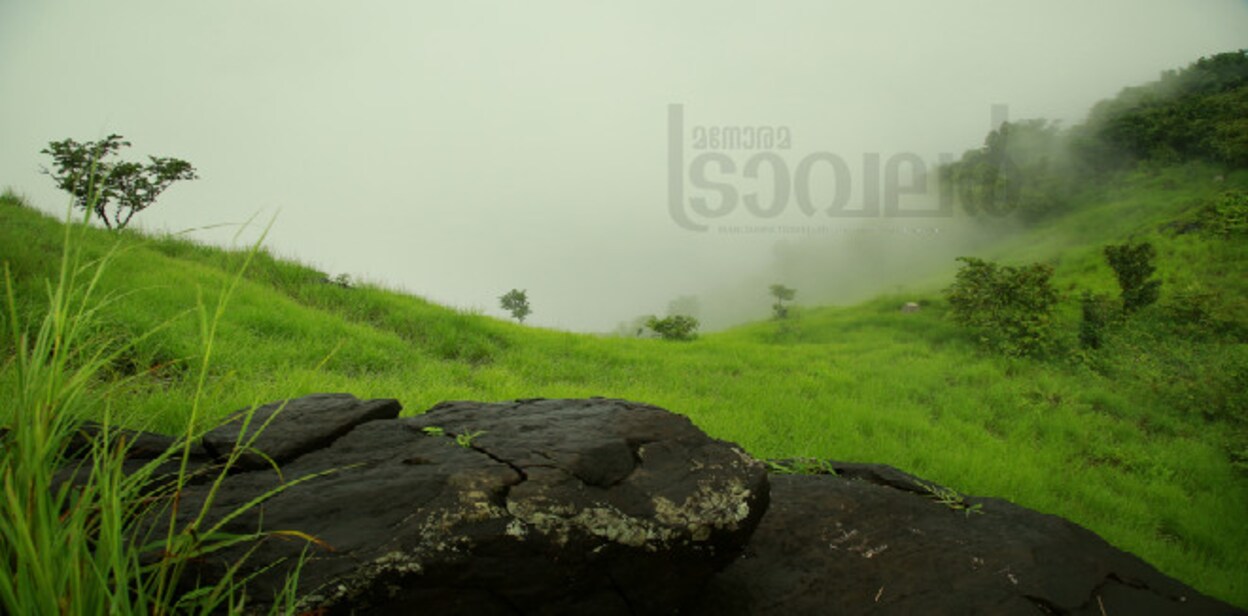 chekunnu05