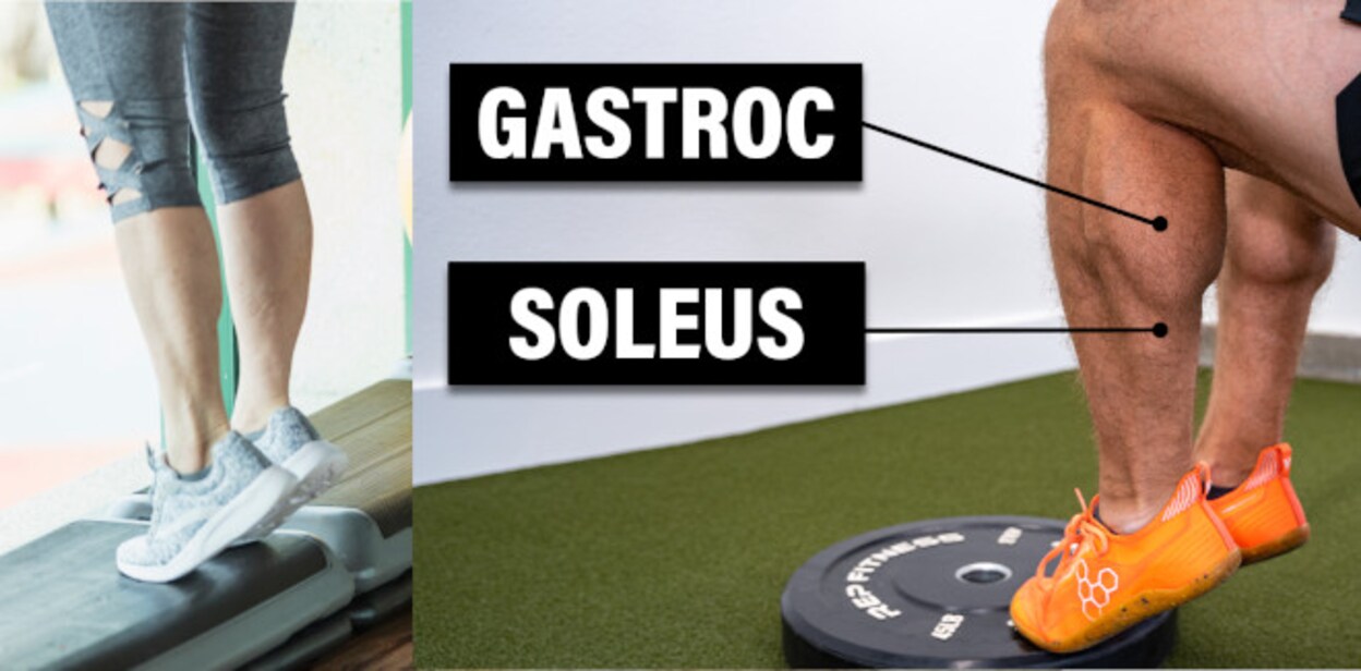 soleus4545