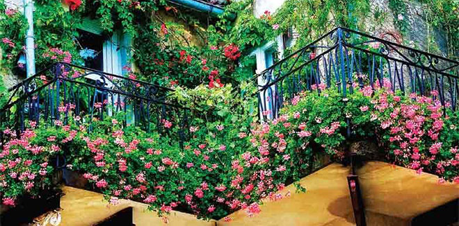 balcony-garden.jpg.image.784.410