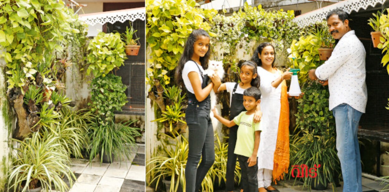 garden4