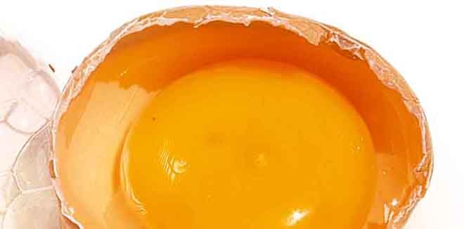 egg-yolk-1