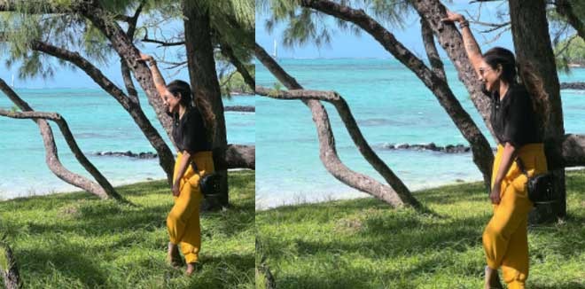 ഓരോ നിമിഷവും പൂർണമായി ജീവിക്കാൻ ഞാൻ ആഗ്രഹിക്കുന്നു': മൗറീഷ്യസ് യാത്രയുടെ  ചിത്രം പങ്കുവച്ച് റിമി ടോമി | rimi tomy new pic mauritius