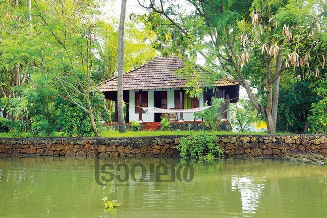 4)Chettuva-coconut-island 4)Chettuva-coconut-island