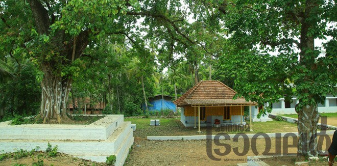 othenan_kalari othenan_kalari