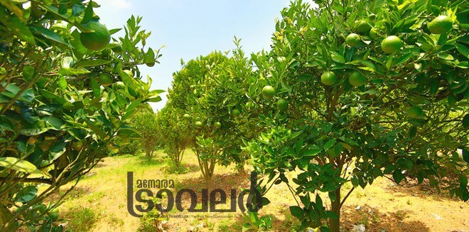 kanthallur5 kanthallur5