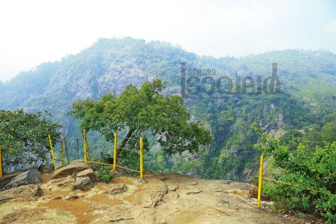 6)Katherine--viewpoint 6)Katherine--viewpoint
