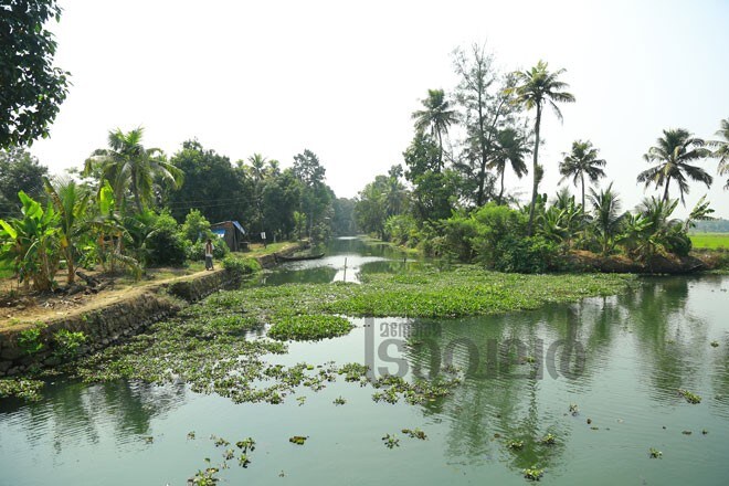 3)Malarikkal 3)Malarikkal