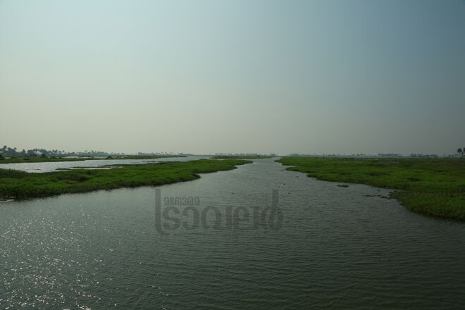 6)Vembanad-Kayal 6)Vembanad-Kayal