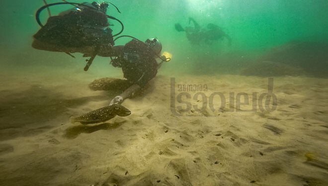 Scuba-4 Scuba-4
