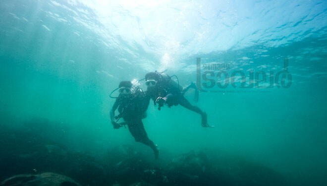 Scuba-6 Scuba-6