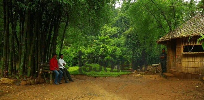6)-Mankulam-Eco-trip-starting-point 6)-Mankulam-Eco-trip-starting-point