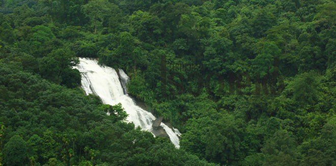 4)-Mankulam---Pampinkayam-falls 4)-Mankulam---Pampinkayam-falls