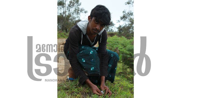 12)Jyothis-with-neelakurinji 12)Jyothis-with-neelakurinji
