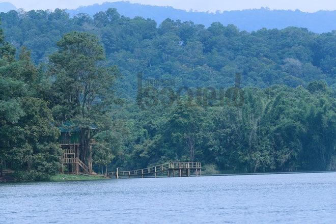 3)Bamboo-island 3)Bamboo-island