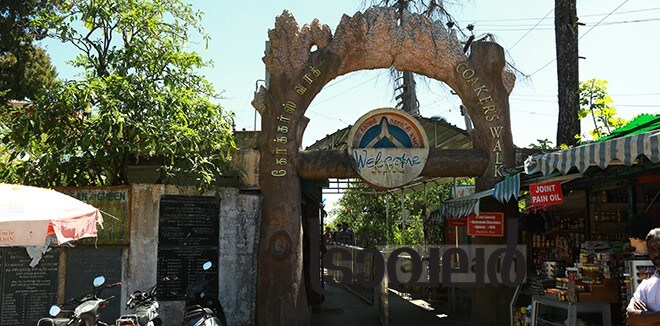 8)-Kodaikanal-Kokers-walk 8)-Kodaikanal-Kokers-walk