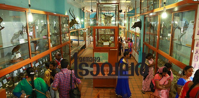 9)-Kodaikanal-Museum 9)-Kodaikanal-Museum