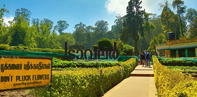 3)-Kodaikanal-Garden 3)-Kodaikanal-Garden