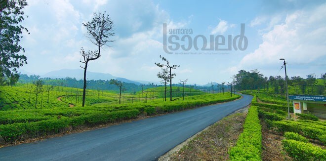 2)-Athirappilly-2 2)-Athirappilly-2