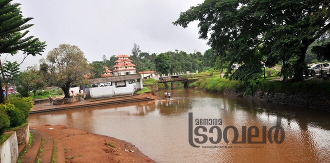 Coorg-6 Coorg-6