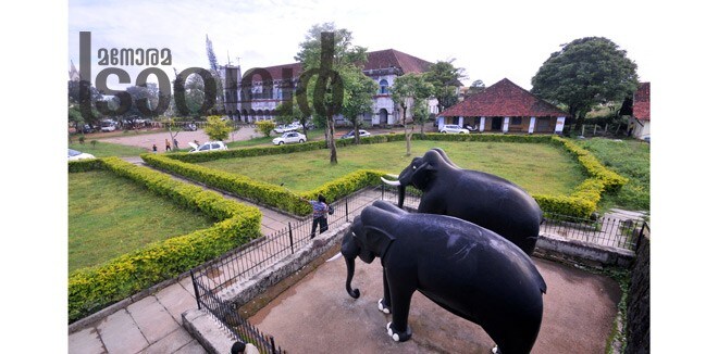 Coorg-4 Coorg-4