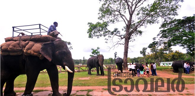 Coorg-5 Coorg-5