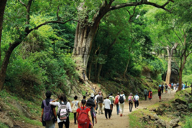 4)-Siruvani-Forest-area